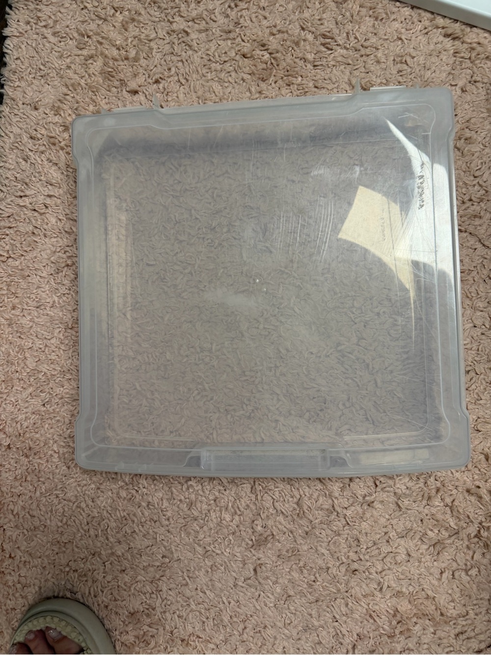 Clear Square Plastic Lid - Translucent Storage Cover